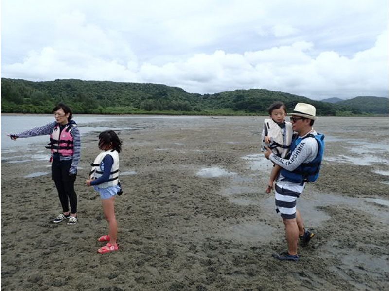 【沖縄・西表島】初心者向け！浦内川マングローブカヤック＋星の砂海岸ツアーの紹介画像