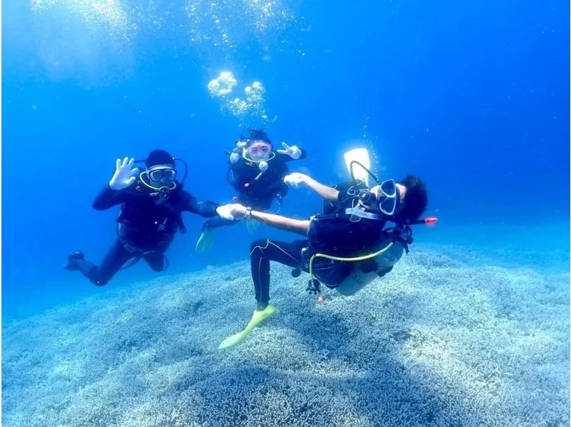 【石垣島】幻の島上陸＆体験ダイビングコース【半日コース/AM】《GoProレンタル＆写真無料》国内最大級のサンゴ礁エリアへ！の紹介画像