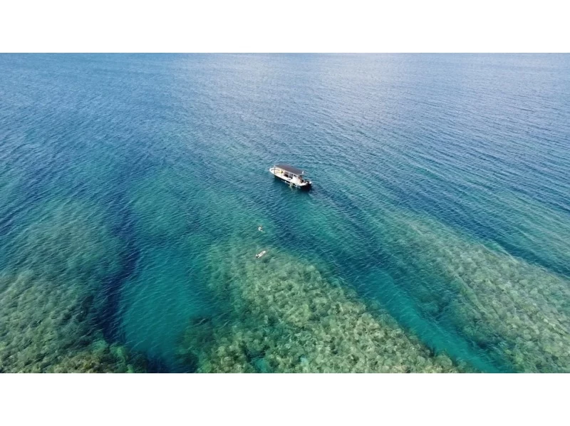 【石垣島】幻の島上陸＆体験ダイビングコース【半日コース/AM】《GoProレンタル＆写真無料》国内最大級のサンゴ礁エリアへ！の紹介画像