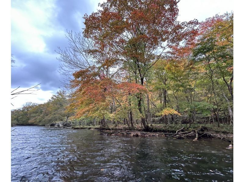 【北海道・千歳川】⭐︎安定感抜群のボートツアー〈標準コース〉秋といえば千歳川！鮭と紅葉が美しい◎透き通った千歳川を安定したボートで下ろう！の紹介画像