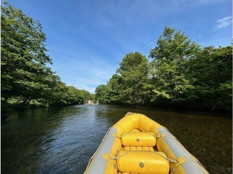 【北海道千歲川】⭐︎ 穩定性極佳的遊船之旅（標準路線） 透明化！讓我們和河裡的魚兒、森林裡的鳥兒一起順流而下，展開一場偉大的冒險吧！の紹介画像