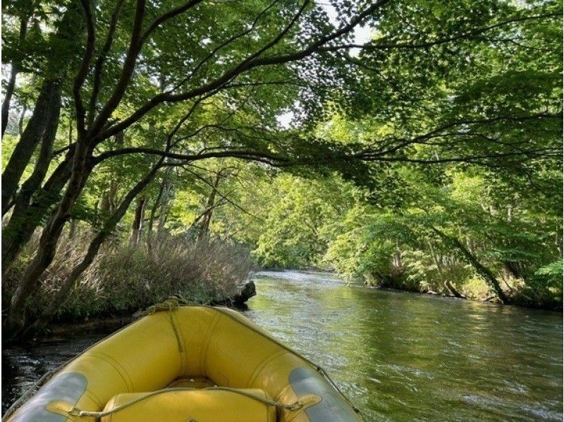 【北海道・千歳川】⭐︎安定感抜群のボートツアー〈標準コース〉秋といえば千歳川！鮭と紅葉が美しい◎透き通った千歳川を安定したボートで下ろう！の紹介画像