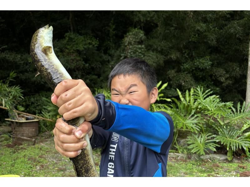 【鹿児島・奄美】神秘の滝で川遊び＆マングローブどろんこ1日ツアー★写真無料の紹介画像