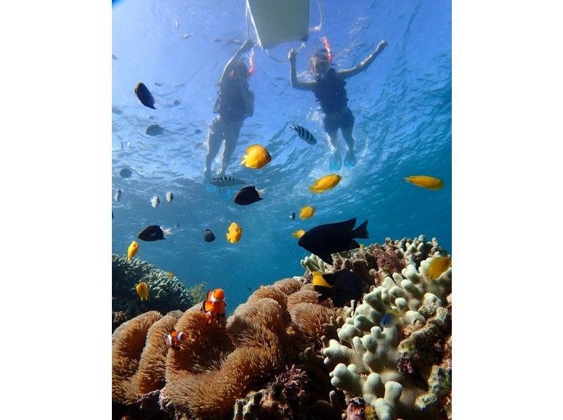 【沖縄・宜野座】洞窟探検ツアー＆シュノーケル！ツアー写真プレゼント＆オプションでBBQもできます♪の紹介画像