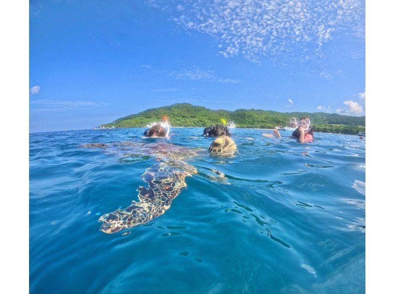 SALE! [Small group size, full of privacy] "Phantom Island" landing & sea turtle exploration snorkeling tour English available (photo and video service included)の紹介画像