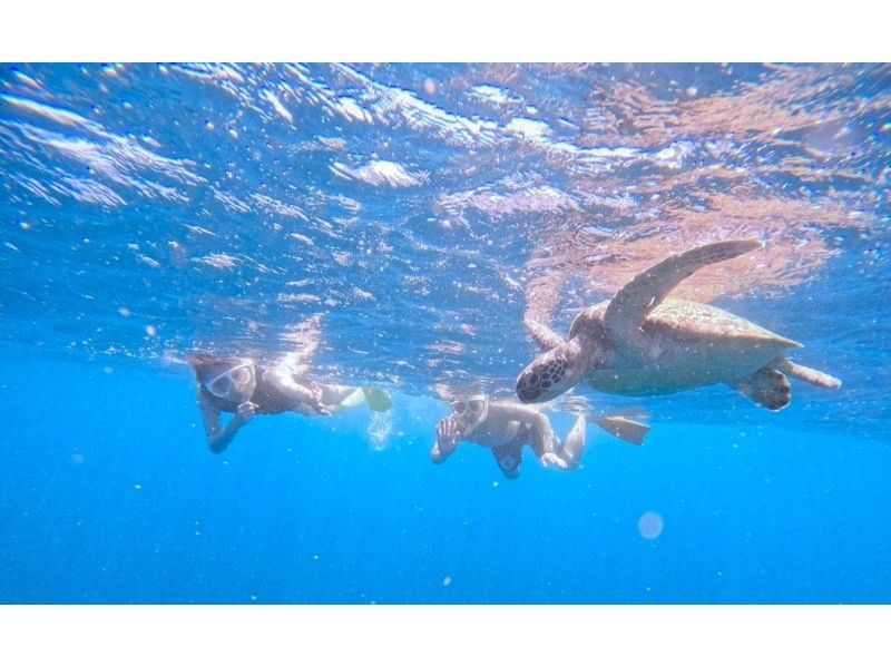 SALE! [Small group size, full of privacy] "Phantom Island" landing & sea turtle exploration snorkeling tour English available (photo and video service included)の紹介画像