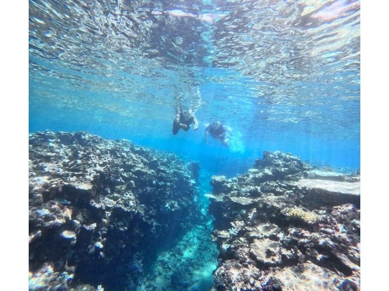 SALE! 【少人数制・プライベート感満載】「幻の島」上陸＆ウミガメ探検シュノーケリングツアー　英語対応可（写真動画サービス付き）の紹介画像