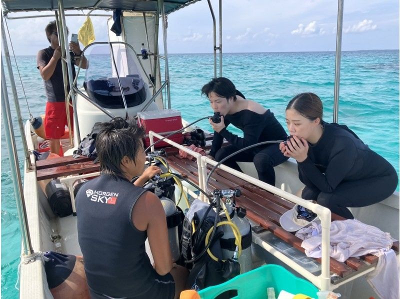 SALE! [Limited to 2 people! Half-day] Landing on the "Phantom Island" and trial diving Convenient departure and arrival from Ishigaki Port English spoken (GoPro photo service included)の紹介画像