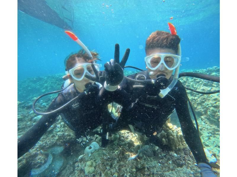 SALE! [Limited to 2 people! Half-day] Landing on the "Phantom Island" and trial diving Convenient departure and arrival from Ishigaki Port English spoken (GoPro photo service included)の紹介画像