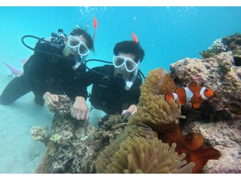 【2名様限定！満喫プラン】「幻の島」上陸＆美ら海体験ダイビング（GoPro 写真サービス付き）の紹介画像