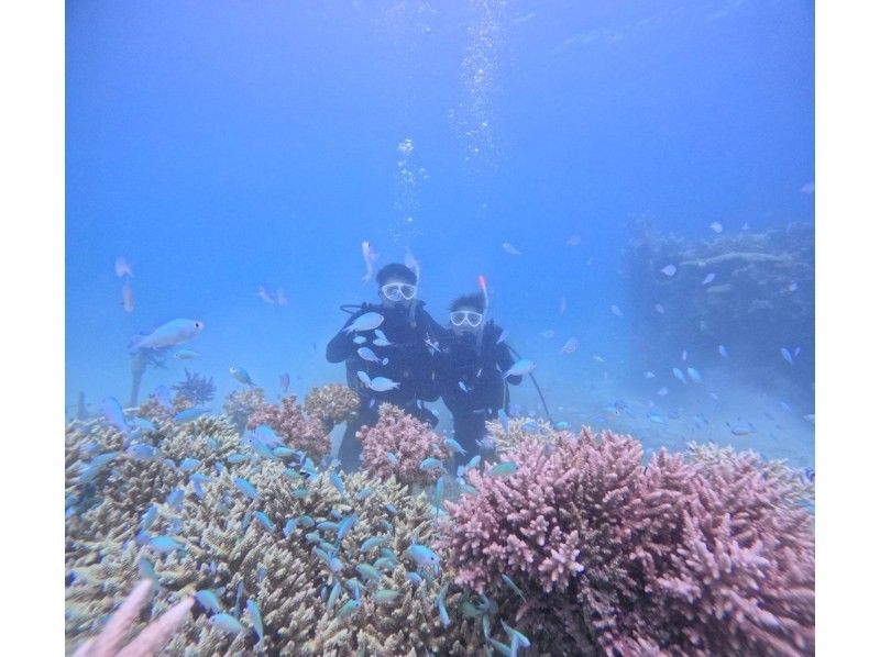 SALE! [Limited to 2 people! Half-day] Landing on the "Phantom Island" and trial diving Convenient departure and arrival from Ishigaki Port English spoken (GoPro photo service included)の紹介画像