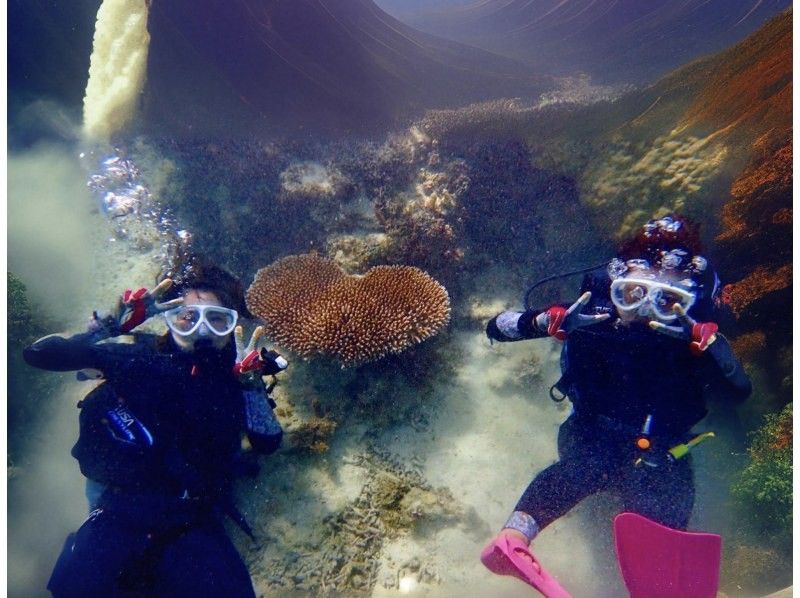 【2名様限定！満喫プラン】「幻の島」上陸＆美ら海体験ダイビング（GoPro 写真サービス付き）の紹介画像