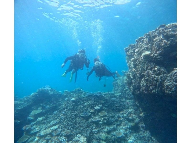 SALE! [Limited to 2 people! Half-day] Landing on the "Phantom Island" and trial diving Convenient departure and arrival from Ishigaki Port English spoken (GoPro photo service included)の紹介画像