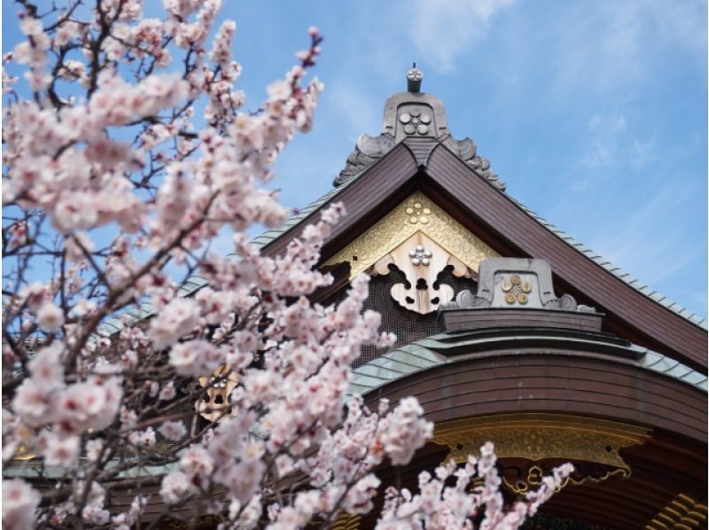 梅の花咲く江戸三大天神（湯島天神・亀戸天神社・谷保天満宮）めぐりバスツアー～ホテルコンチネンタル府中でお食事付き【029029-1087の紹介画像