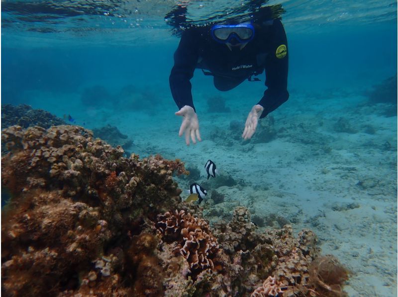 [Okinawa, Onna Village] Enjoy the ocean with the highest transparency known as Maeda Blue! A great set plan for a full charter! DAY SUP cruising & mini snorkelingの紹介画像