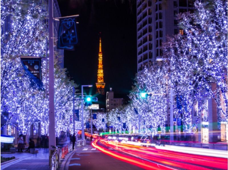 東京紅葉名所5景＆都内イルミネーションめぐりバスツアー　～和食御膳のご昼食付～【029029－852】の紹介画像