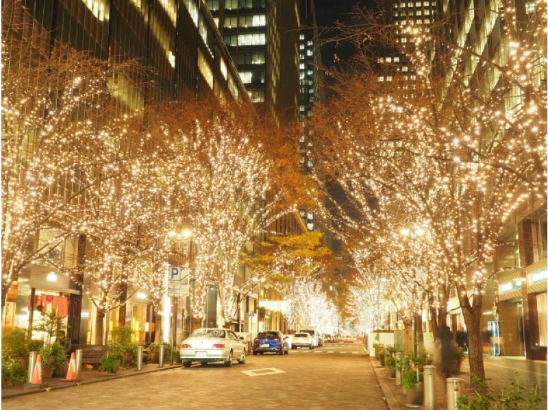 東京紅葉名所5景＆都内イルミネーションめぐりバスツアー　～和食御膳のご昼食付～【029029－852】の紹介画像