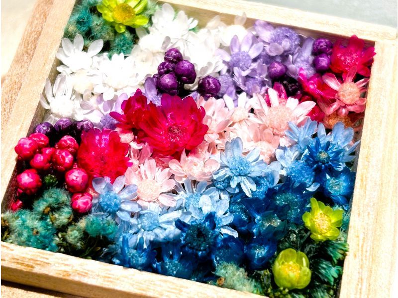 ～ 花庭 HANANIWA～ 手のひらに広がる花々のミニチュア庭園づくり体験の紹介画像