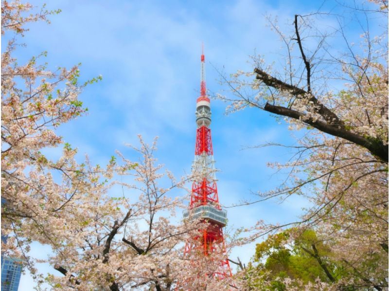 迎賓館和風別館のガイド付き見学&増上寺と芝公園の桜鑑賞ツアー～東京プリンスホテルにて和食のお食事付き～【029029－1075】の紹介画像