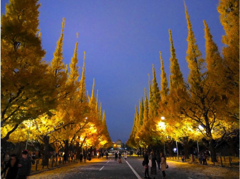 東京・丸の内・六本木 紅葉＆イルミネーション満喫ツアー ～皇居や神宮外苑の紅葉と東京タワーなど東京の人気名所！【029029-1444】の紹介画像
