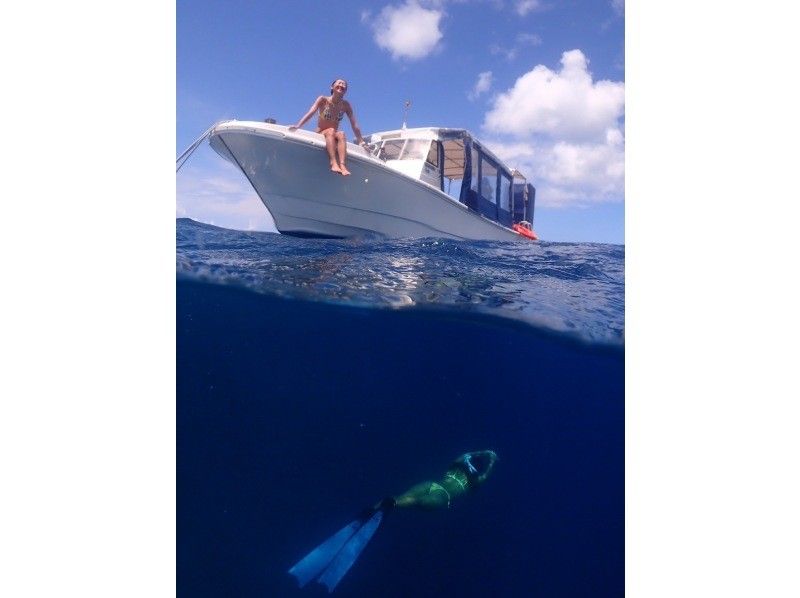 [Okinawa, Ishigaki] Skin diving tour! Recommended for those who are not satisfied with snorkeling, women, and couples! (Lunch & transportation included)の紹介画像