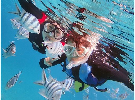 沖縄 恩納村 青の洞窟シュノーケリング クマパラ体験ダイビング セットプラン 楽々ボートエントリー 誕生日割引実施中 お得な団体割引も アクティビティジャパン