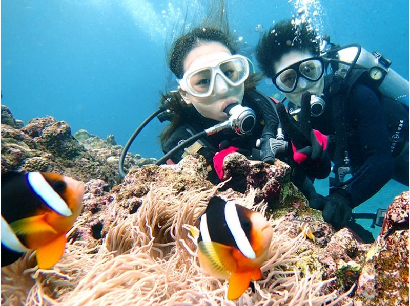 [Okinawa] Blue cave of Onna village Snorkeling+ Bear Para Experience Diving Set plan
