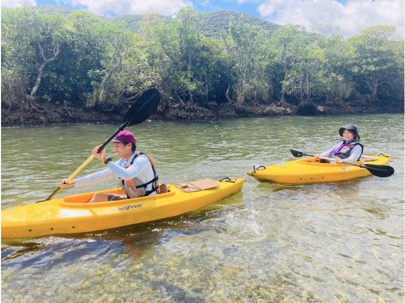 A private tour with peace of mind! Kinsakuhara & Mangrove Canoe Tour! Children and beginners welcome | Enjoy two of Amami Oshima's major tours in one dayの紹介画像