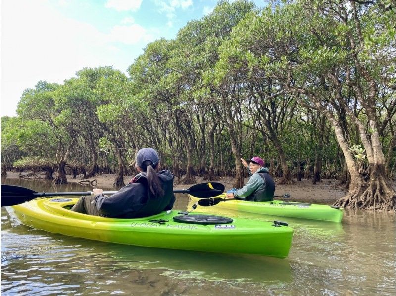 A private tour with peace of mind! Kinsakuhara & Mangrove Canoe Tour! Children and beginners welcome | Enjoy two of Amami Oshima's major tours in one dayの紹介画像