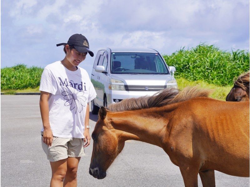 [Okinawa, Yonaguni Island] Easy sightseeing tour! A classic sightseeing tour with an island guide ★ 3-hour plan ★の紹介画像