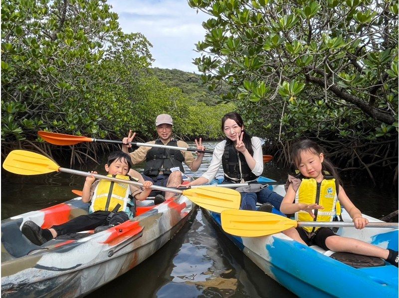 [Iriomote Island/Early Morning] Value Pack for Early Morning Enjoyment! Mangrove SUP or Canoe & Barringtonia Viewing Tour ★Free Photo Data/Equipment Rental★の紹介画像