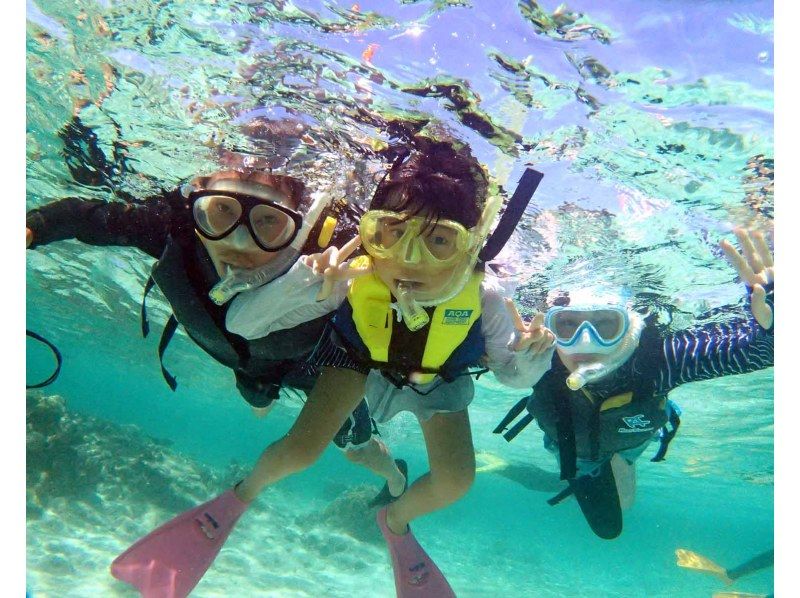SALE! Support for group trips [Ishigaki Island snorkeling, sea turtles, half-day PM] 90% chance of encountering sea turtles! Sea turtle snorkeling tour ☆ Free photo data ☆の紹介画像