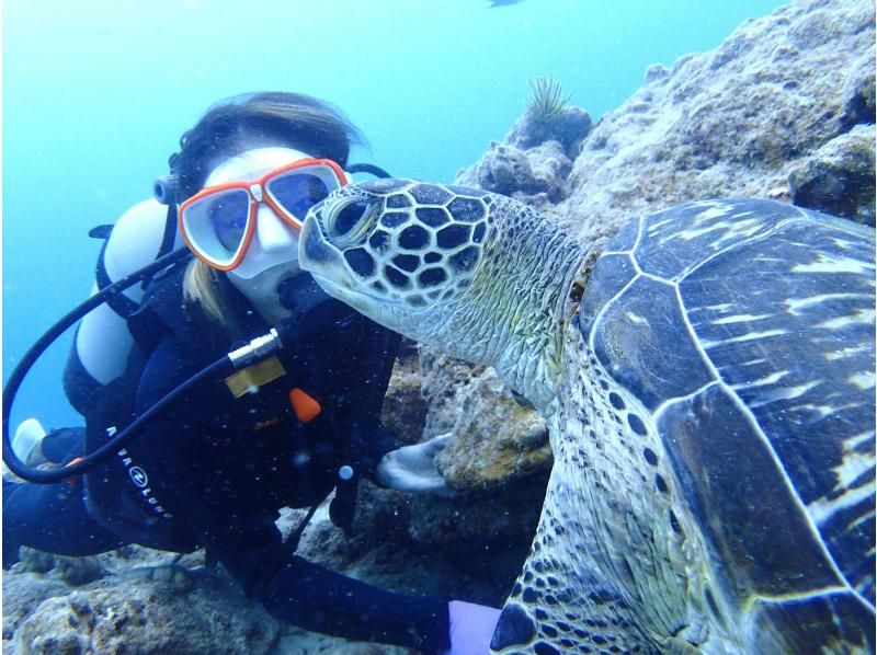 SALE! Group travel support [Ishigaki Island Diving, Phantom Island, Sea Turtles, 1 day] Landing on the phantom island & 2 dives experience diving & snorkeling! ☆Free photo data☆の紹介画像