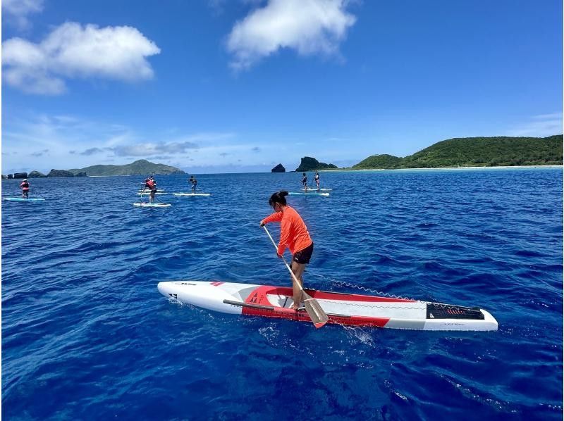 [Okinawa, Zamami Island] Day trip OK! SUP & snorkeling! ✴︎ Photo shoot included ✴︎ Relaxing SUP cruising and snorkeling in the ocean where you have a high chance of encountering sea turtles!の紹介画像
