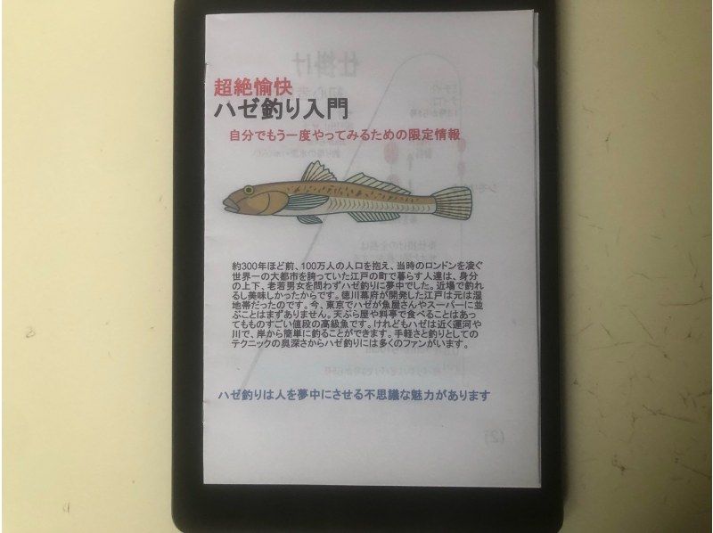 [Tokyo Sumida-ku - Walk-in OK - Beginner-friendly - Super fun] Goby fishing experience right under the Skytreeの紹介画像