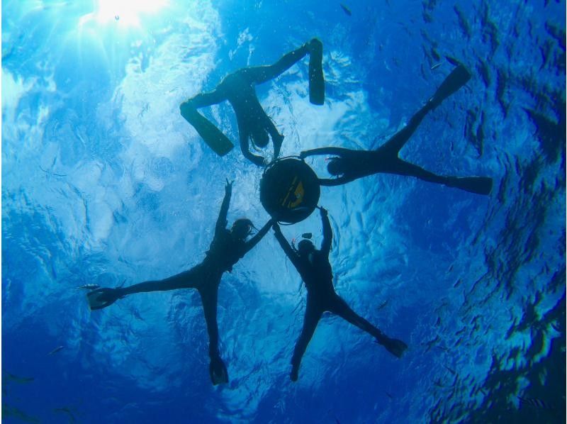 【沖縄・ジンベエザメ・シュノーケル】世界最大の魚類ジンベエザメ！100％の感動と200％の興奮！大人気GoPro写真＆動画無料！の紹介画像