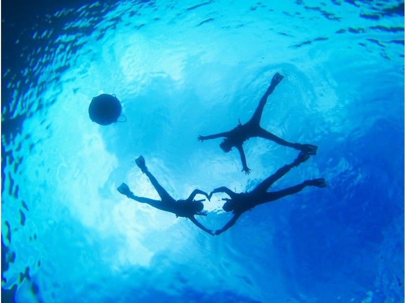 【沖縄・ジンベエザメ・シュノーケル】世界最大の魚類ジンベエザメ！100％の感動と200％の興奮！大人気GoPro写真＆動画無料！の紹介画像