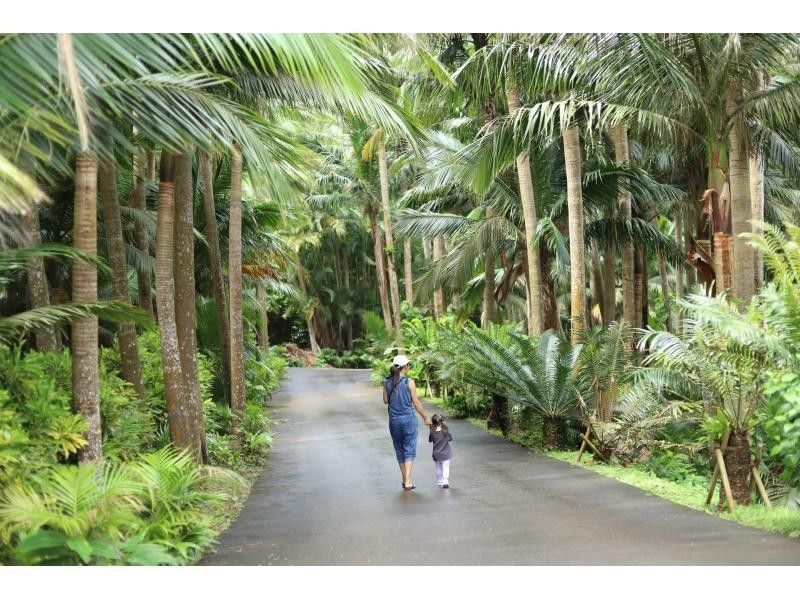 [沖繩/石垣島]與當地專業家庭媽媽攝影師一起環島攝影之旅！讓我們一起與波光粼粼的大海和大自然一起玩耍吧！ 「半天課程」の紹介画像