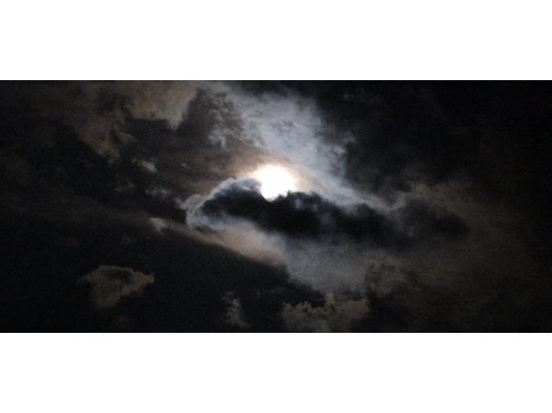 【北海道・富良野】秋におすすめ、富良野夜の自然ツアーの紹介画像