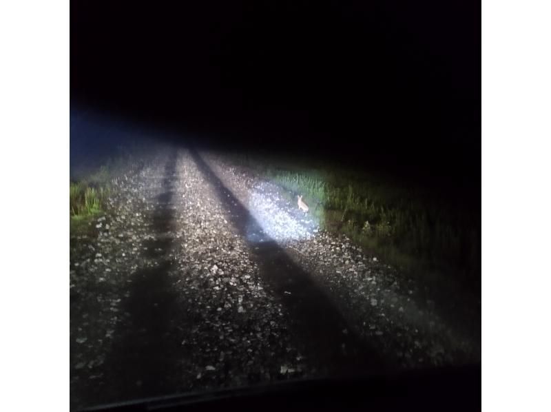 【北海道・富良野】秋におすすめ、富良野夜の自然ツアーの紹介画像