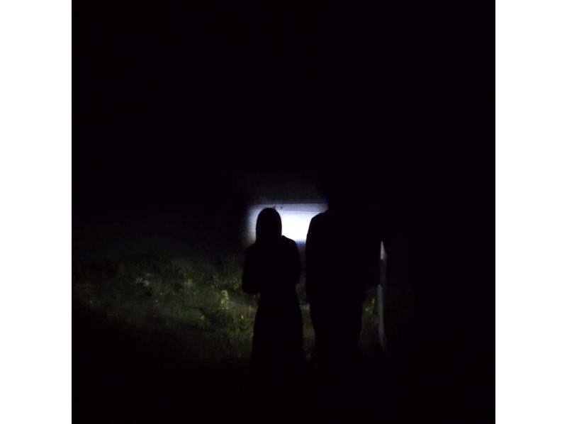 【北海道・富良野】秋におすすめ、富良野夜の自然ツアーの紹介画像