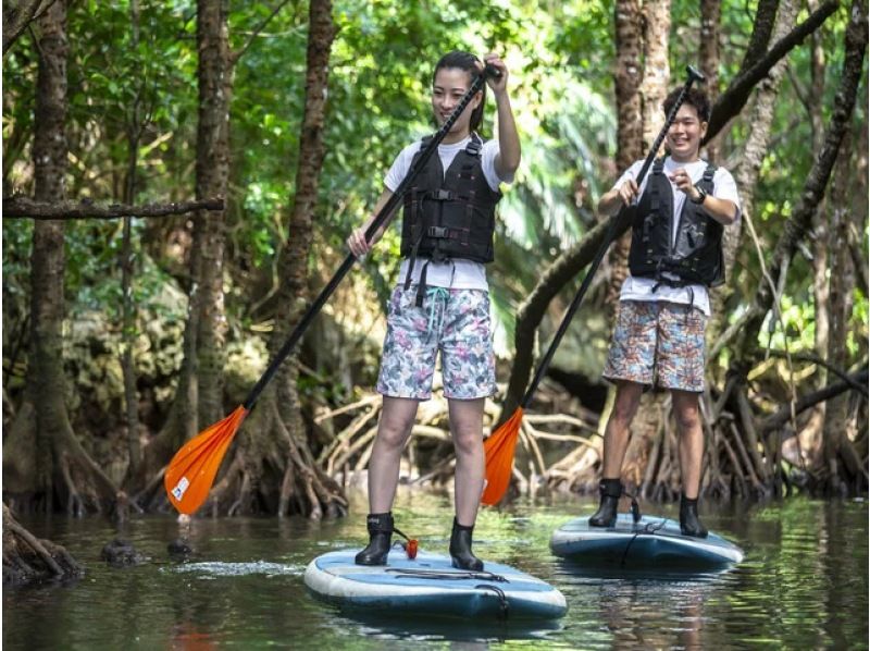 [Ishigaki Island/Evening] Value pack for enjoying the afternoon! Mangrove SUP or canoe & hanging flower viewing tour [April to August only] ★Same-day applications accepted★の紹介画像