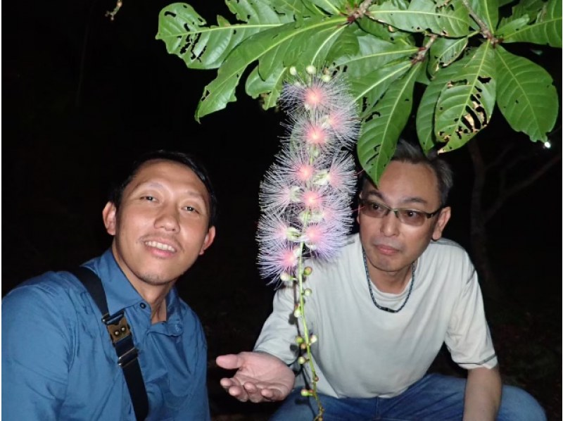 [Ishigaki Island/Evening] Value pack for enjoying the afternoon! Mangrove SUP or canoe & hanging flower viewing tour [April to August only] ★Same-day applications accepted★の紹介画像