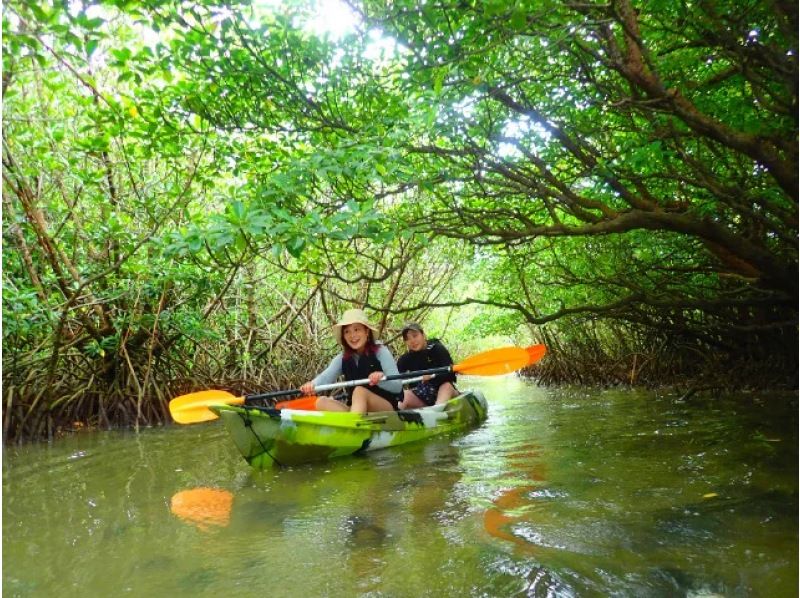 [Ishigaki Island/Evening] Value pack for enjoying the afternoon! Mangrove SUP or canoe & hanging flower viewing tour [April to August only] ★Same-day applications accepted★の紹介画像