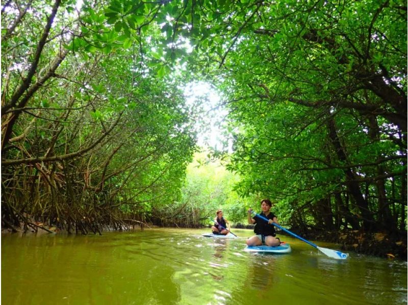 [Ishigaki Island/Evening] Value pack for enjoying the afternoon! Mangrove SUP or canoe & hanging flower viewing tour [April to August only] ★Same-day applications accepted★の紹介画像