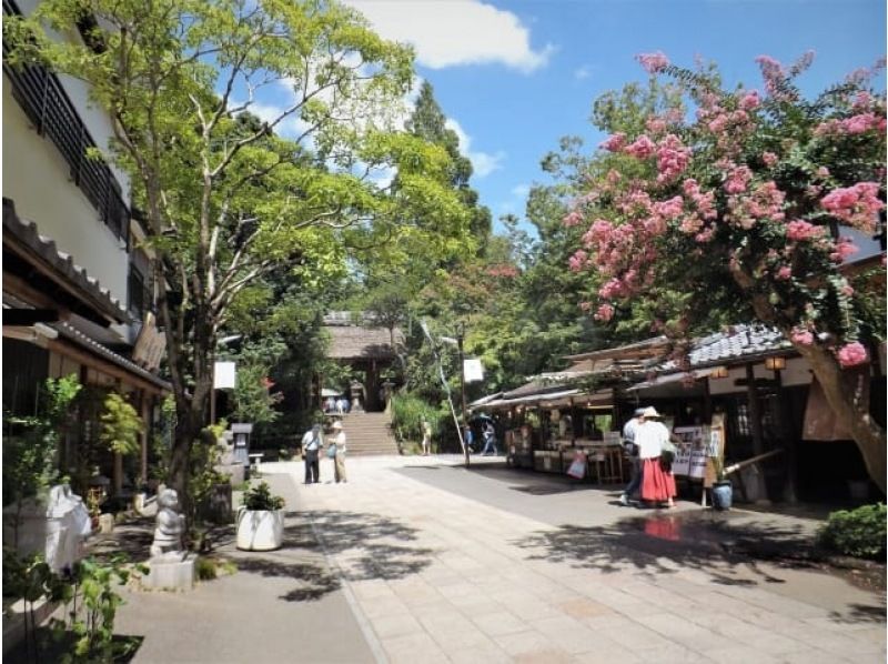 【東京】季節限定！お砂ふみ体験と深大寺そば＆秋バラ鑑賞バスツアー【029029-1432】の紹介画像