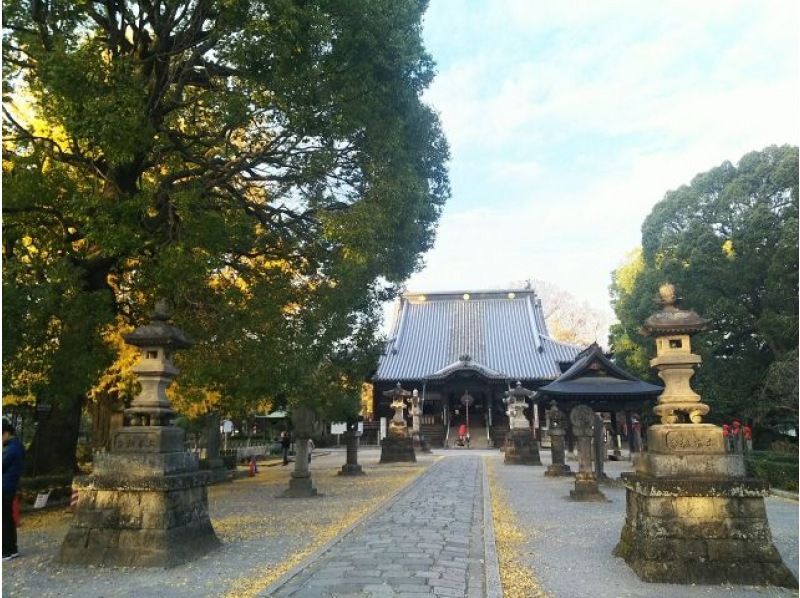 わたらせ渓谷鐡道トロッコ列車乗車&赤城南面千本桜&鑁阿寺の桜観賞バスツアー～やまと豚弁当&お茶付き～【029029‐1156】の紹介画像