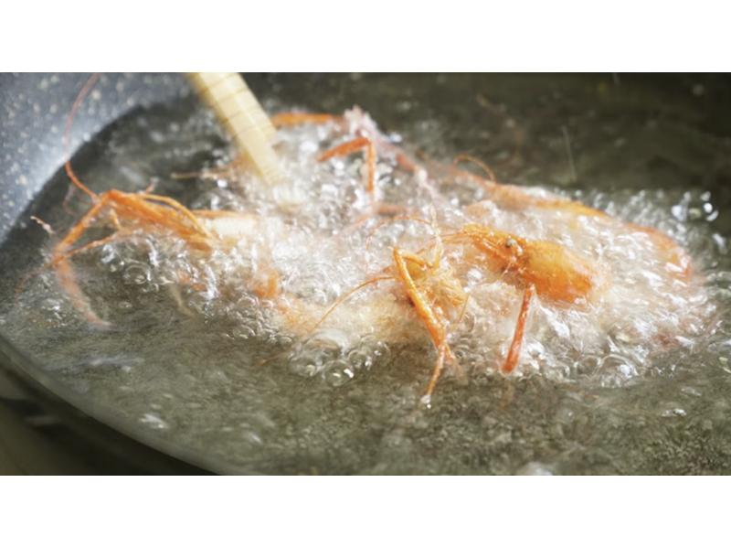 【東京・調布】夏休み自由研究　海川の生き物を学1日、横須賀三浦、川〜海でまるごと観察三昧の紹介画像