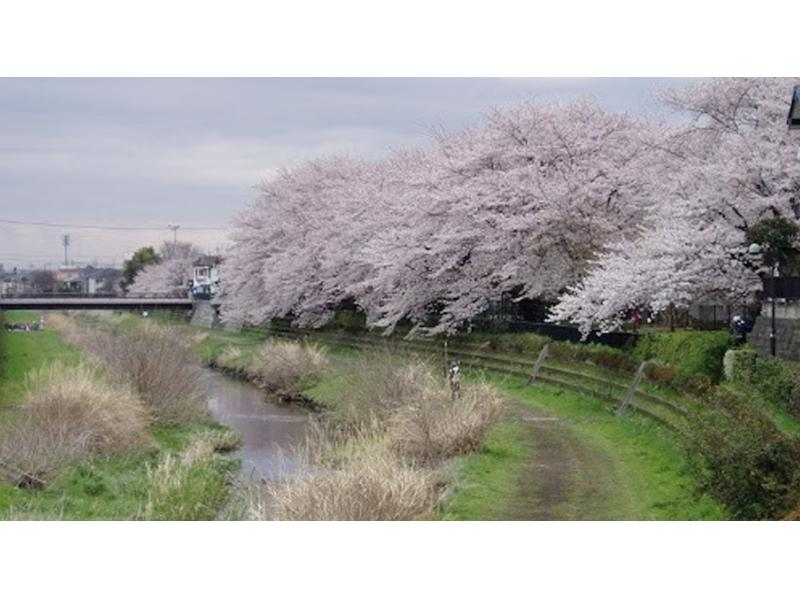 [Tokyo, Chofu] Japanese Black Beef BBQ Plan! Includes hot springs. Free nature experience for all reservations. Childcare available. Wide variety of menus.の紹介画像