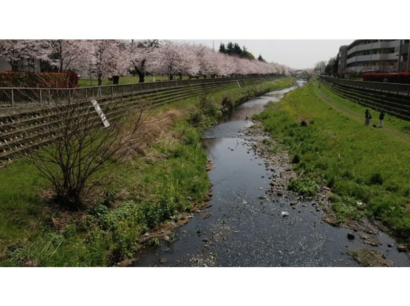 [Tokyo, Chofu] Seafood and Japanese Black Beef Luxurious BBQ with hot spring and nature experience!